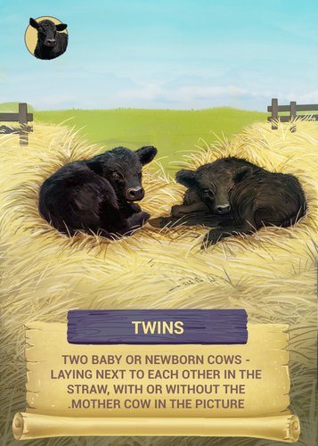 Twins card
