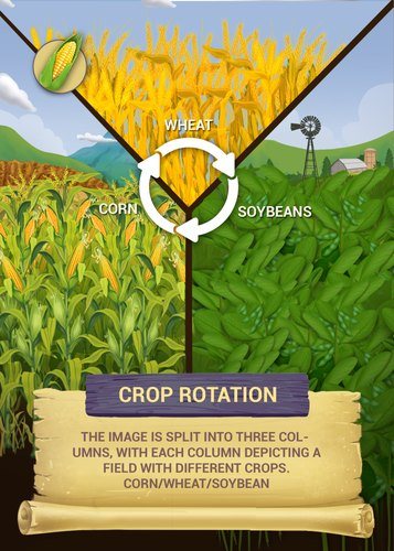 Crop Rotation card